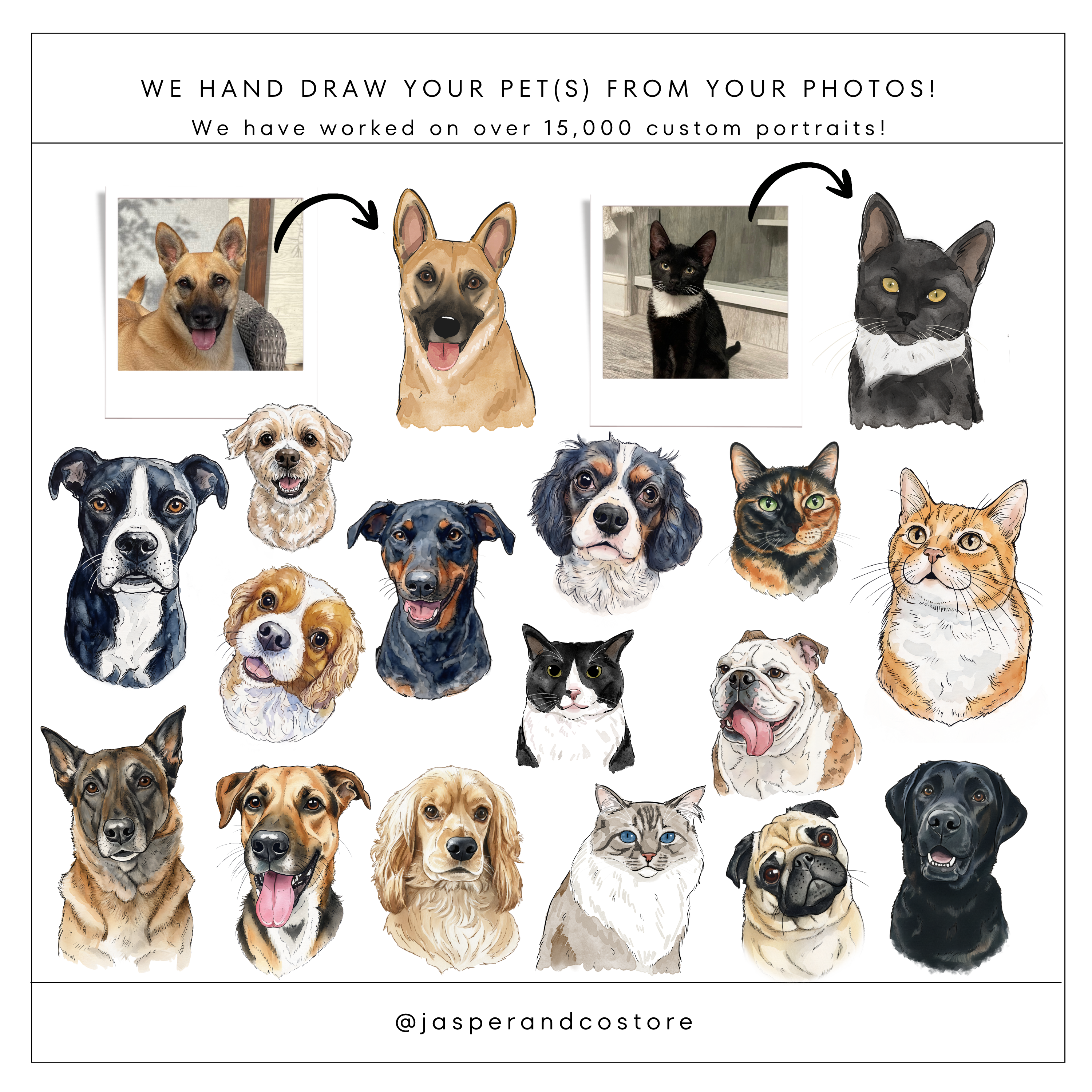 Custom Pet Portrait Full Color Doodle Napkins