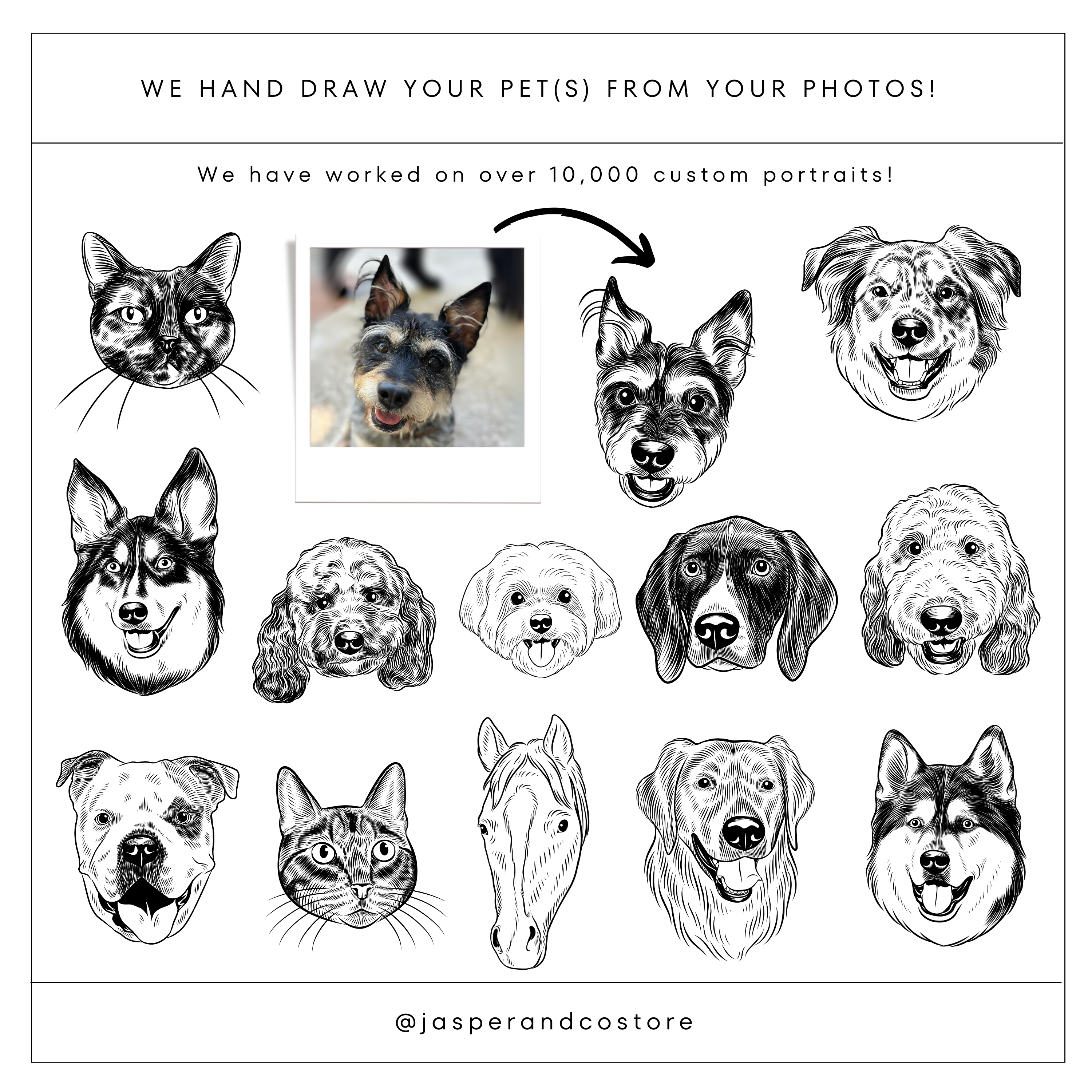Custom Printed Pet Portrait T-Shirt