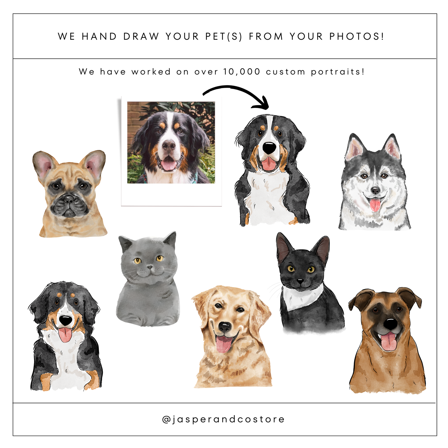 Custom Color Doodle Pet Portrait Matchboxes