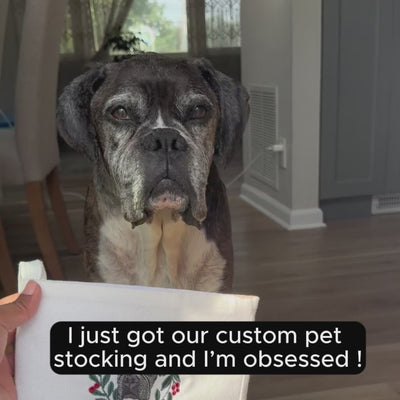 Custom Pet Embroidered Christmas Stocking