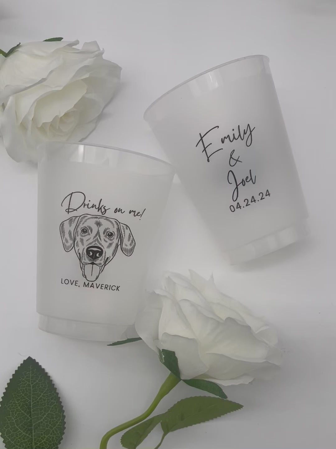 Custom Pet Portrait Frosted Cups